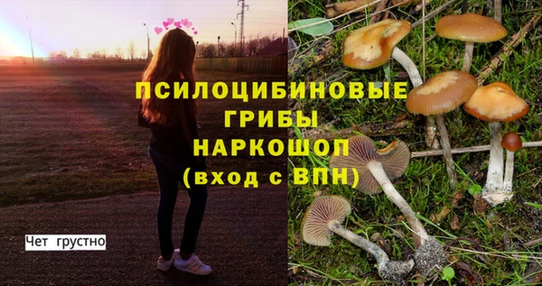 apvp Медногорск
