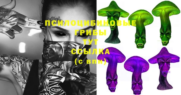 apvp Медногорск