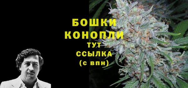 apvp Медногорск