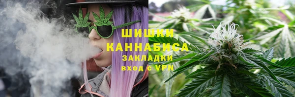 apvp Медногорск